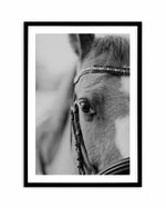 Untamed Art Print-PRINT-Olive et Oriel-Olive et Oriel-A5 | 5.8" x 8.3" | 14.8 x 21cm-Black-With White Border-Buy-Australian-Art-Prints-Online-with-Olive-et-Oriel-Your-Artwork-Specialists-Austrailia-Decorate-With-Coastal-Photo-Wall-Art-Prints-From-Our-Beach-House-Artwork-Collection-Fine-Poster-and-Framed-Artwork