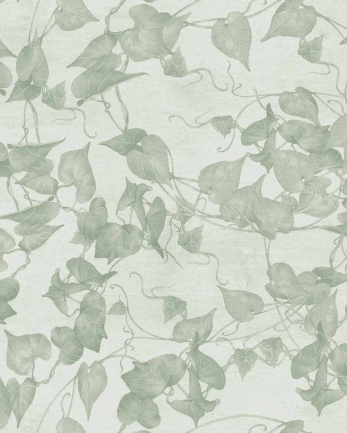 Up The Vine Sage Green Wallpaper-Wallpaper-Buy Australian Removable Wallpaper Now Sage Green Wallpaper Peel And Stick Wallpaper Online At Olive et Oriel Custom Made Wallpapers Wall Papers Decorate Your Bedroom Living Room Kids Room or Commercial Interior