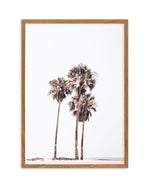 Venice Beach | PT Art Print-PRINT-Olive et Oriel-Olive et Oriel-50x70 cm | 19.6" x 27.5"-Walnut-With White Border-Buy-Australian-Art-Prints-Online-with-Olive-et-Oriel-Your-Artwork-Specialists-Austrailia-Decorate-With-Coastal-Photo-Wall-Art-Prints-From-Our-Beach-House-Artwork-Collection-Fine-Poster-and-Framed-Artwork