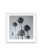 Venice Palms | B&W SQ Art Print-PRINT-Olive et Oriel-Olive et Oriel-70x70 cm | 27.5" x 27.5"-White-With White Border-Buy-Australian-Art-Prints-Online-with-Olive-et-Oriel-Your-Artwork-Specialists-Austrailia-Decorate-With-Coastal-Photo-Wall-Art-Prints-From-Our-Beach-House-Artwork-Collection-Fine-Poster-and-Framed-Artwork