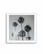 Venice Palms | B&W SQ Art Print-PRINT-Olive et Oriel-Olive et Oriel-Buy-Australian-Art-Prints-Online-with-Olive-et-Oriel-Your-Artwork-Specialists-Austrailia-Decorate-With-Coastal-Photo-Wall-Art-Prints-From-Our-Beach-House-Artwork-Collection-Fine-Poster-and-Framed-Artwork