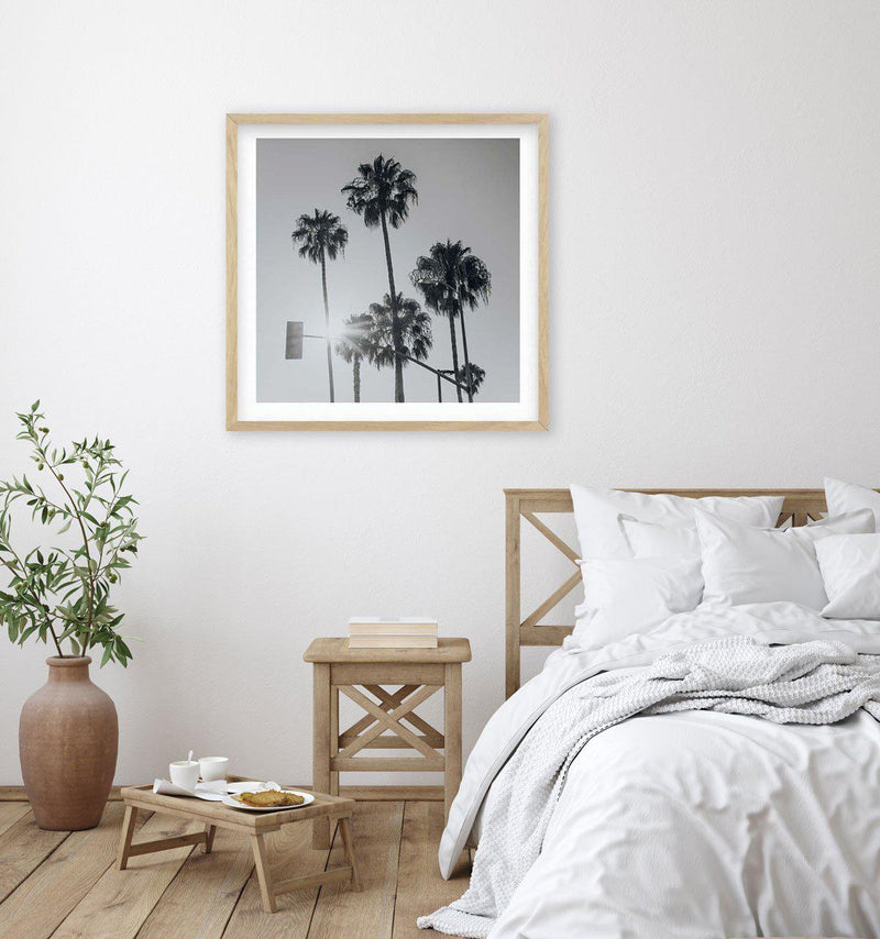Venice Palms | B&W SQ Art Print-PRINT-Olive et Oriel-Olive et Oriel-Buy-Australian-Art-Prints-Online-with-Olive-et-Oriel-Your-Artwork-Specialists-Austrailia-Decorate-With-Coastal-Photo-Wall-Art-Prints-From-Our-Beach-House-Artwork-Collection-Fine-Poster-and-Framed-Artwork