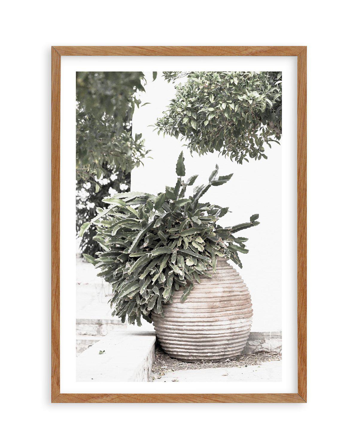 Villa Cactus Art Print-PRINT-Olive et Oriel-Olive et Oriel-Buy-Australian-Art-Prints-Online-with-Olive-et-Oriel-Your-Artwork-Specialists-Austrailia-Decorate-With-Coastal-Photo-Wall-Art-Prints-From-Our-Beach-House-Artwork-Collection-Fine-Poster-and-Framed-Artwork