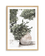 Villa Cactus Art Print-PRINT-Olive et Oriel-Olive et Oriel-A4 | 8.3" x 11.7" | 21 x 29.7cm-Oak-With White Border-Buy-Australian-Art-Prints-Online-with-Olive-et-Oriel-Your-Artwork-Specialists-Austrailia-Decorate-With-Coastal-Photo-Wall-Art-Prints-From-Our-Beach-House-Artwork-Collection-Fine-Poster-and-Framed-Artwork