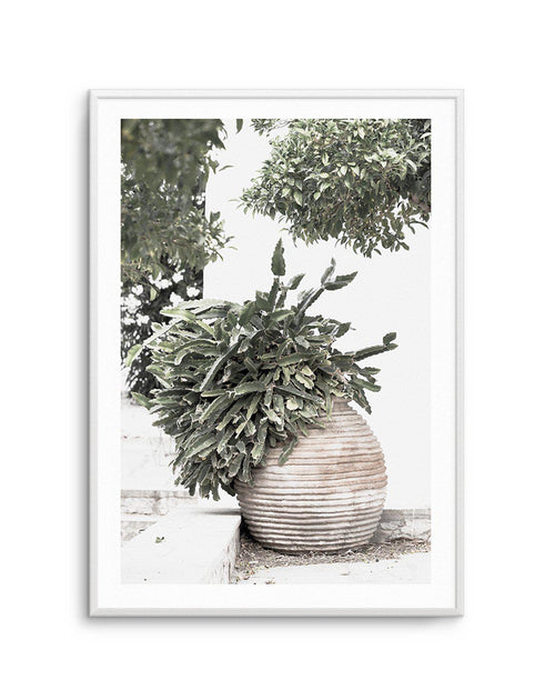 Villa Cactus Art Print-PRINT-Olive et Oriel-Olive et Oriel-A4 | 8.3" x 11.7" | 21 x 29.7cm-Unframed Art Print-With White Border-Buy-Australian-Art-Prints-Online-with-Olive-et-Oriel-Your-Artwork-Specialists-Austrailia-Decorate-With-Coastal-Photo-Wall-Art-Prints-From-Our-Beach-House-Artwork-Collection-Fine-Poster-and-Framed-Artwork