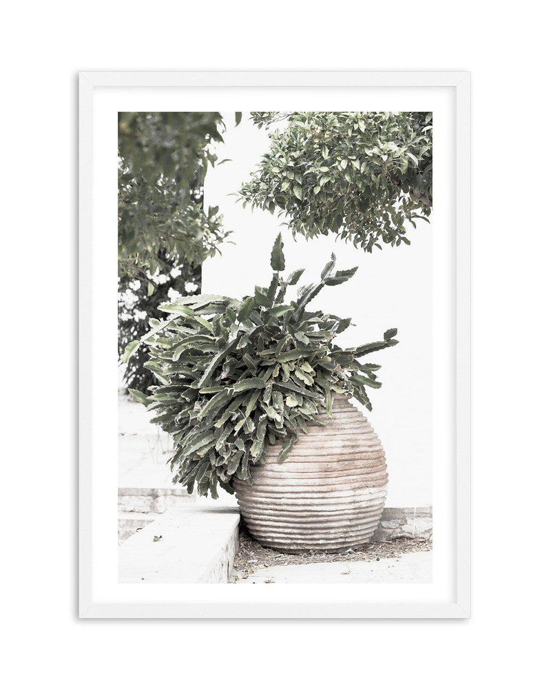 Villa Cactus Art Print-PRINT-Olive et Oriel-Olive et Oriel-A4 | 8.3" x 11.7" | 21 x 29.7cm-White-With White Border-Buy-Australian-Art-Prints-Online-with-Olive-et-Oriel-Your-Artwork-Specialists-Austrailia-Decorate-With-Coastal-Photo-Wall-Art-Prints-From-Our-Beach-House-Artwork-Collection-Fine-Poster-and-Framed-Artwork