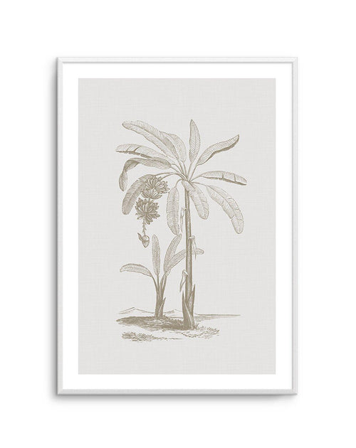 Vintage Palm I Art Print-PRINT-Olive et Oriel-Olive et Oriel-A5 | 5.8" x 8.3" | 14.8 x 21cm-Unframed Art Print-With White Border-Buy-Australian-Art-Prints-Online-with-Olive-et-Oriel-Your-Artwork-Specialists-Austrailia-Decorate-With-Coastal-Photo-Wall-Art-Prints-From-Our-Beach-House-Artwork-Collection-Fine-Poster-and-Framed-Artwork