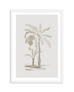 Vintage Palm I Art Print-PRINT-Olive et Oriel-Olive et Oriel-A5 | 5.8" x 8.3" | 14.8 x 21cm-White-With White Border-Buy-Australian-Art-Prints-Online-with-Olive-et-Oriel-Your-Artwork-Specialists-Austrailia-Decorate-With-Coastal-Photo-Wall-Art-Prints-From-Our-Beach-House-Artwork-Collection-Fine-Poster-and-Framed-Artwork