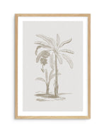 Vintage Palm I Art Print-PRINT-Olive et Oriel-Olive et Oriel-A5 | 5.8" x 8.3" | 14.8 x 21cm-Oak-With White Border-Buy-Australian-Art-Prints-Online-with-Olive-et-Oriel-Your-Artwork-Specialists-Austrailia-Decorate-With-Coastal-Photo-Wall-Art-Prints-From-Our-Beach-House-Artwork-Collection-Fine-Poster-and-Framed-Artwork