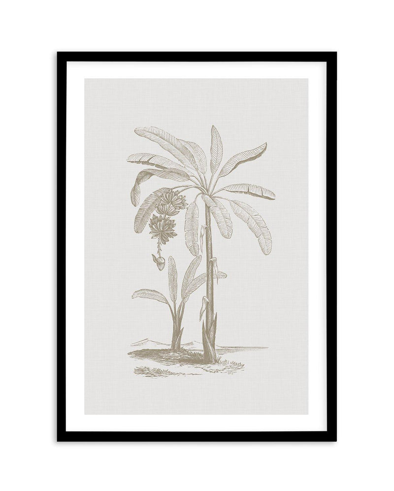 Vintage Palm I Art Print-PRINT-Olive et Oriel-Olive et Oriel-A5 | 5.8" x 8.3" | 14.8 x 21cm-Black-With White Border-Buy-Australian-Art-Prints-Online-with-Olive-et-Oriel-Your-Artwork-Specialists-Austrailia-Decorate-With-Coastal-Photo-Wall-Art-Prints-From-Our-Beach-House-Artwork-Collection-Fine-Poster-and-Framed-Artwork