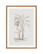 Vintage Palm I Art Print-PRINT-Olive et Oriel-Olive et Oriel-Buy-Australian-Art-Prints-Online-with-Olive-et-Oriel-Your-Artwork-Specialists-Austrailia-Decorate-With-Coastal-Photo-Wall-Art-Prints-From-Our-Beach-House-Artwork-Collection-Fine-Poster-and-Framed-Artwork