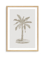 Vintage Palm II Art Print-PRINT-Olive et Oriel-Olive et Oriel-A5 | 5.8" x 8.3" | 14.8 x 21cm-Oak-With White Border-Buy-Australian-Art-Prints-Online-with-Olive-et-Oriel-Your-Artwork-Specialists-Austrailia-Decorate-With-Coastal-Photo-Wall-Art-Prints-From-Our-Beach-House-Artwork-Collection-Fine-Poster-and-Framed-Artwork