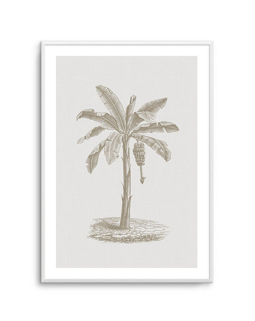 Vintage Palm II Art Print-PRINT-Olive et Oriel-Olive et Oriel-A5 | 5.8" x 8.3" | 14.8 x 21cm-Unframed Art Print-With White Border-Buy-Australian-Art-Prints-Online-with-Olive-et-Oriel-Your-Artwork-Specialists-Austrailia-Decorate-With-Coastal-Photo-Wall-Art-Prints-From-Our-Beach-House-Artwork-Collection-Fine-Poster-and-Framed-Artwork