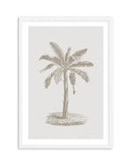 Vintage Palm II Art Print-PRINT-Olive et Oriel-Olive et Oriel-A5 | 5.8" x 8.3" | 14.8 x 21cm-White-With White Border-Buy-Australian-Art-Prints-Online-with-Olive-et-Oriel-Your-Artwork-Specialists-Austrailia-Decorate-With-Coastal-Photo-Wall-Art-Prints-From-Our-Beach-House-Artwork-Collection-Fine-Poster-and-Framed-Artwork