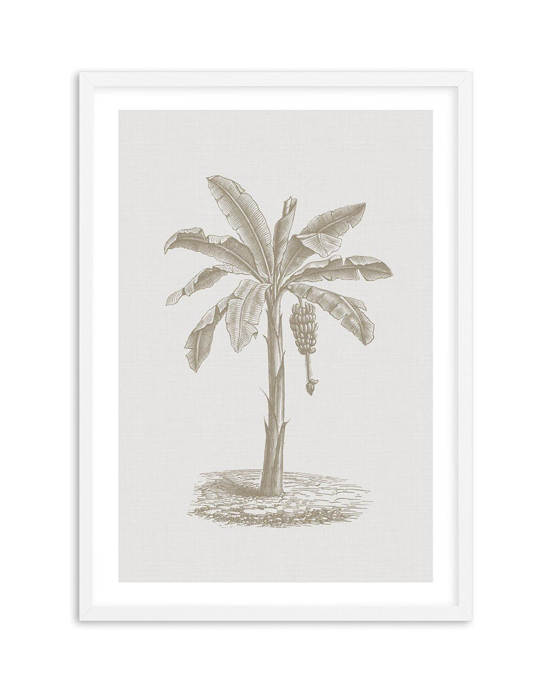 Vintage Palm II Art Print-PRINT-Olive et Oriel-Olive et Oriel-A5 | 5.8" x 8.3" | 14.8 x 21cm-White-With White Border-Buy-Australian-Art-Prints-Online-with-Olive-et-Oriel-Your-Artwork-Specialists-Austrailia-Decorate-With-Coastal-Photo-Wall-Art-Prints-From-Our-Beach-House-Artwork-Collection-Fine-Poster-and-Framed-Artwork