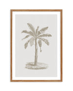 Vintage Palm II Art Print-PRINT-Olive et Oriel-Olive et Oriel-Buy-Australian-Art-Prints-Online-with-Olive-et-Oriel-Your-Artwork-Specialists-Austrailia-Decorate-With-Coastal-Photo-Wall-Art-Prints-From-Our-Beach-House-Artwork-Collection-Fine-Poster-and-Framed-Artwork