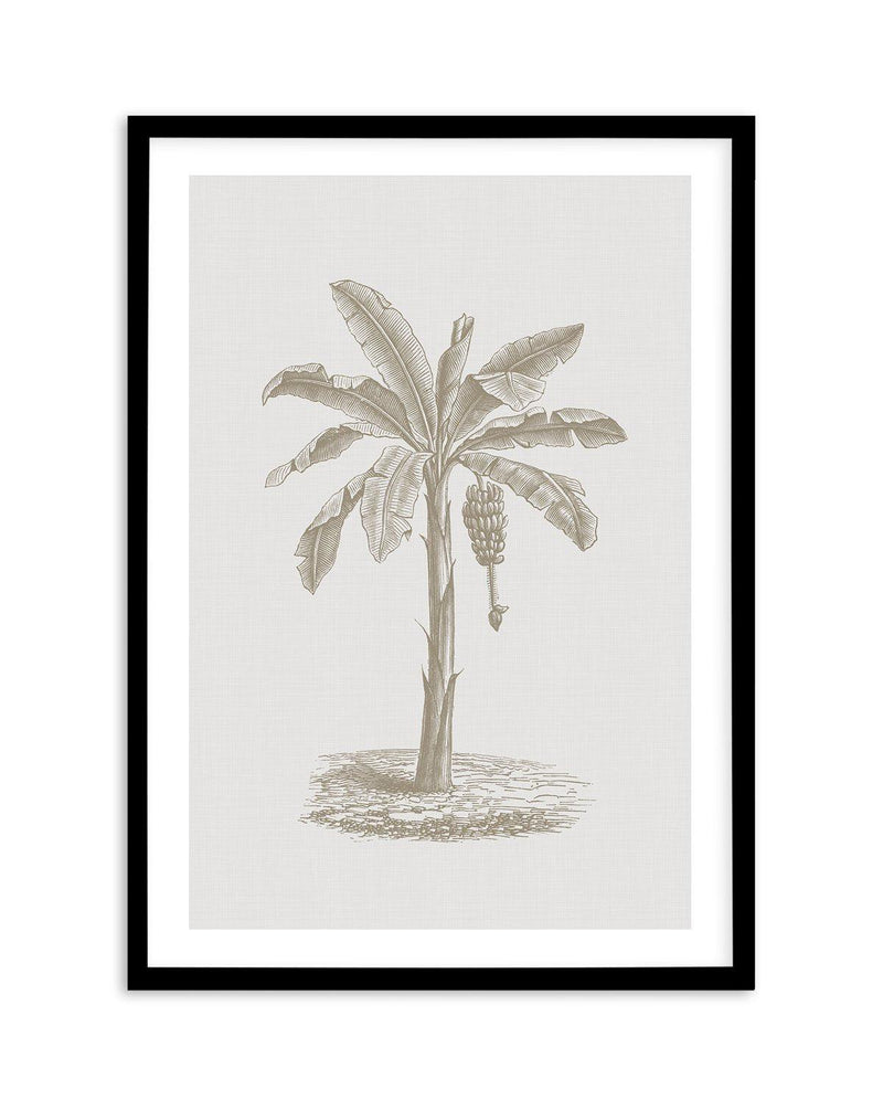Vintage Palm II Art Print-PRINT-Olive et Oriel-Olive et Oriel-A5 | 5.8" x 8.3" | 14.8 x 21cm-Black-With White Border-Buy-Australian-Art-Prints-Online-with-Olive-et-Oriel-Your-Artwork-Specialists-Austrailia-Decorate-With-Coastal-Photo-Wall-Art-Prints-From-Our-Beach-House-Artwork-Collection-Fine-Poster-and-Framed-Artwork