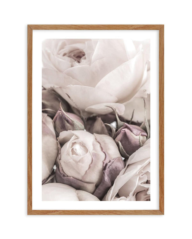 Vintage Roses I Art Print-PRINT-Olive et Oriel-Olive et Oriel-50x70 cm | 19.6" x 27.5"-Walnut-With White Border-Buy-Australian-Art-Prints-Online-with-Olive-et-Oriel-Your-Artwork-Specialists-Austrailia-Decorate-With-Coastal-Photo-Wall-Art-Prints-From-Our-Beach-House-Artwork-Collection-Fine-Poster-and-Framed-Artwork