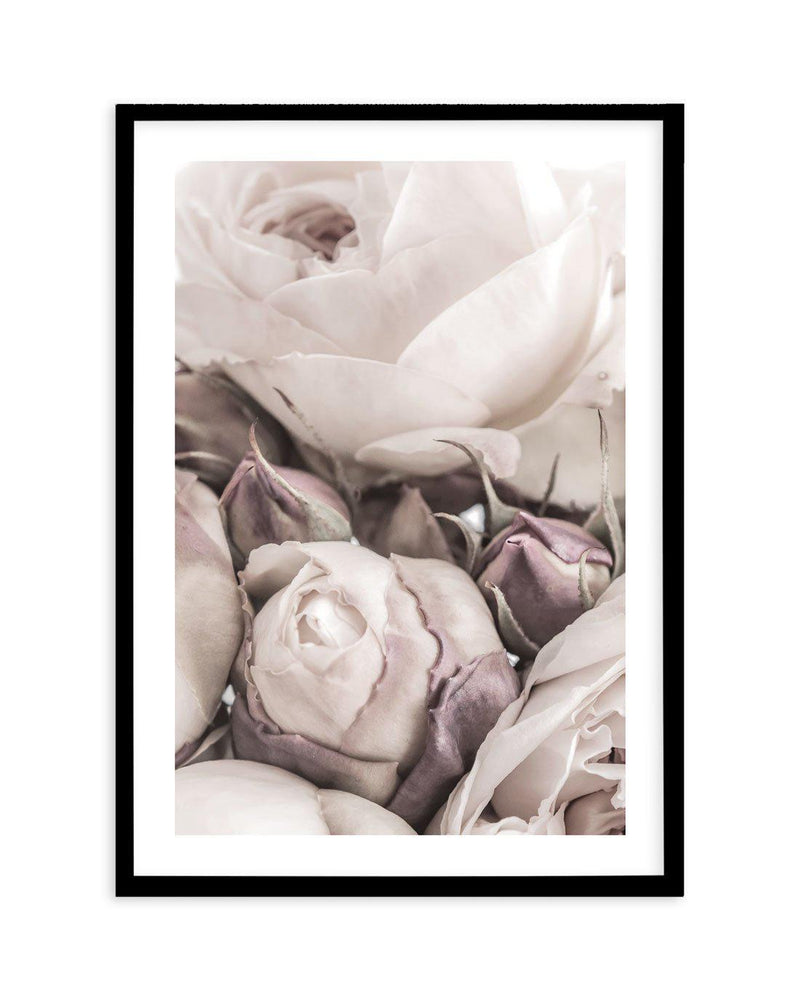 Vintage Roses I Art Print-PRINT-Olive et Oriel-Olive et Oriel-A4 | 8.3" x 11.7" | 21 x 29.7cm-Black-With White Border-Buy-Australian-Art-Prints-Online-with-Olive-et-Oriel-Your-Artwork-Specialists-Austrailia-Decorate-With-Coastal-Photo-Wall-Art-Prints-From-Our-Beach-House-Artwork-Collection-Fine-Poster-and-Framed-Artwork