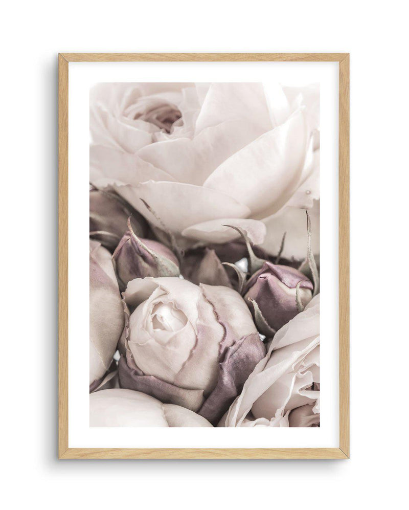 Vintage Roses I Art Print-PRINT-Olive et Oriel-Olive et Oriel-A4 | 8.3" x 11.7" | 21 x 29.7cm-Oak-With White Border-Buy-Australian-Art-Prints-Online-with-Olive-et-Oriel-Your-Artwork-Specialists-Austrailia-Decorate-With-Coastal-Photo-Wall-Art-Prints-From-Our-Beach-House-Artwork-Collection-Fine-Poster-and-Framed-Artwork
