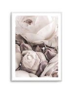 Vintage Roses I Art Print-PRINT-Olive et Oriel-Olive et Oriel-A4 | 8.3" x 11.7" | 21 x 29.7cm-Unframed Art Print-With White Border-Buy-Australian-Art-Prints-Online-with-Olive-et-Oriel-Your-Artwork-Specialists-Austrailia-Decorate-With-Coastal-Photo-Wall-Art-Prints-From-Our-Beach-House-Artwork-Collection-Fine-Poster-and-Framed-Artwork