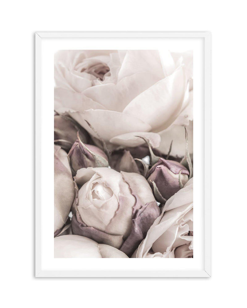 Vintage Roses I Art Print-PRINT-Olive et Oriel-Olive et Oriel-A4 | 8.3" x 11.7" | 21 x 29.7cm-White-With White Border-Buy-Australian-Art-Prints-Online-with-Olive-et-Oriel-Your-Artwork-Specialists-Austrailia-Decorate-With-Coastal-Photo-Wall-Art-Prints-From-Our-Beach-House-Artwork-Collection-Fine-Poster-and-Framed-Artwork