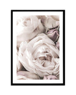 Vintage Roses II Art Print-PRINT-Olive et Oriel-Olive et Oriel-A4 | 8.3" x 11.7" | 21 x 29.7cm-Black-With White Border-Buy-Australian-Art-Prints-Online-with-Olive-et-Oriel-Your-Artwork-Specialists-Austrailia-Decorate-With-Coastal-Photo-Wall-Art-Prints-From-Our-Beach-House-Artwork-Collection-Fine-Poster-and-Framed-Artwork