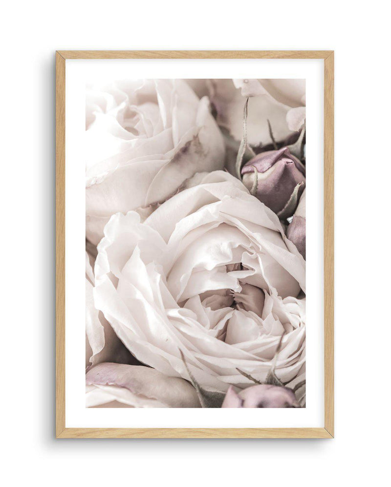Vintage Roses II Art Print-PRINT-Olive et Oriel-Olive et Oriel-A4 | 8.3" x 11.7" | 21 x 29.7cm-Oak-With White Border-Buy-Australian-Art-Prints-Online-with-Olive-et-Oriel-Your-Artwork-Specialists-Austrailia-Decorate-With-Coastal-Photo-Wall-Art-Prints-From-Our-Beach-House-Artwork-Collection-Fine-Poster-and-Framed-Artwork
