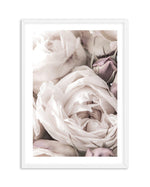 Vintage Roses II Art Print-PRINT-Olive et Oriel-Olive et Oriel-A4 | 8.3" x 11.7" | 21 x 29.7cm-White-With White Border-Buy-Australian-Art-Prints-Online-with-Olive-et-Oriel-Your-Artwork-Specialists-Austrailia-Decorate-With-Coastal-Photo-Wall-Art-Prints-From-Our-Beach-House-Artwork-Collection-Fine-Poster-and-Framed-Artwork