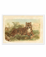 Vintage Tiger I Art Print-PRINT-Olive et Oriel-Olive et Oriel-Buy-Australian-Art-Prints-Online-with-Olive-et-Oriel-Your-Artwork-Specialists-Austrailia-Decorate-With-Coastal-Photo-Wall-Art-Prints-From-Our-Beach-House-Artwork-Collection-Fine-Poster-and-Framed-Artwork