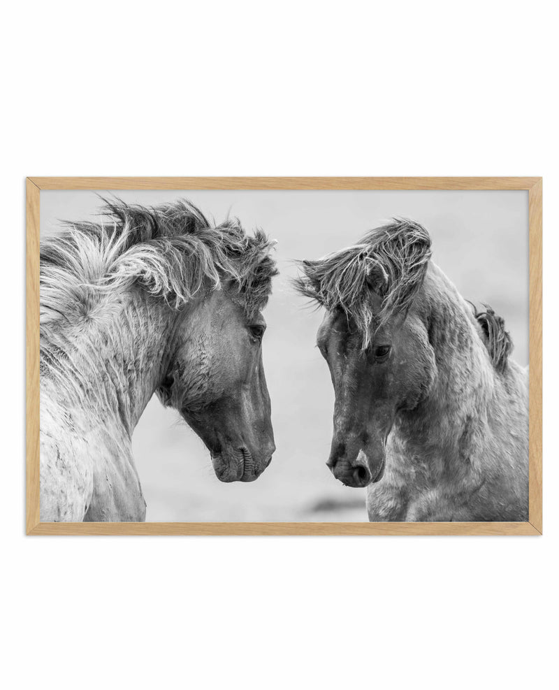 Wild Horses | LS Art Print-PRINT-Olive et Oriel-Olive et Oriel-A4 | 8.3" x 11.7" | 21 x 29.7cm-Oak-With White Border-Buy-Australian-Art-Prints-Online-with-Olive-et-Oriel-Your-Artwork-Specialists-Austrailia-Decorate-With-Coastal-Photo-Wall-Art-Prints-From-Our-Beach-House-Artwork-Collection-Fine-Poster-and-Framed-Artwork