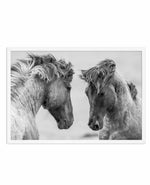 Wild Horses | LS Art Print-PRINT-Olive et Oriel-Olive et Oriel-A4 | 8.3" x 11.7" | 21 x 29.7cm-White-With White Border-Buy-Australian-Art-Prints-Online-with-Olive-et-Oriel-Your-Artwork-Specialists-Austrailia-Decorate-With-Coastal-Photo-Wall-Art-Prints-From-Our-Beach-House-Artwork-Collection-Fine-Poster-and-Framed-Artwork