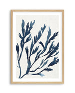 Watercolour Seagrass I Art Print-PRINT-Olive et Oriel-Olive et Oriel-A5 | 5.8" x 8.3" | 14.8 x 21cm-Oak-With White Border-Buy-Australian-Art-Prints-Online-with-Olive-et-Oriel-Your-Artwork-Specialists-Austrailia-Decorate-With-Coastal-Photo-Wall-Art-Prints-From-Our-Beach-House-Artwork-Collection-Fine-Poster-and-Framed-Artwork