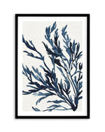 Watercolour Seagrass III Art Print-PRINT-Olive et Oriel-Olive et Oriel-A5 | 5.8" x 8.3" | 14.8 x 21cm-Black-With White Border-Buy-Australian-Art-Prints-Online-with-Olive-et-Oriel-Your-Artwork-Specialists-Austrailia-Decorate-With-Coastal-Photo-Wall-Art-Prints-From-Our-Beach-House-Artwork-Collection-Fine-Poster-and-Framed-Artwork