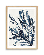 Watercolour Seagrass III Art Print-PRINT-Olive et Oriel-Olive et Oriel-A5 | 5.8" x 8.3" | 14.8 x 21cm-Oak-With White Border-Buy-Australian-Art-Prints-Online-with-Olive-et-Oriel-Your-Artwork-Specialists-Austrailia-Decorate-With-Coastal-Photo-Wall-Art-Prints-From-Our-Beach-House-Artwork-Collection-Fine-Poster-and-Framed-Artwork