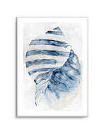 Watercolour Shell II Art Print-PRINT-Olive et Oriel-Olive et Oriel-A5 | 5.8" x 8.3" | 14.8 x 21cm-Unframed Art Print-With White Border-Buy-Australian-Art-Prints-Online-with-Olive-et-Oriel-Your-Artwork-Specialists-Austrailia-Decorate-With-Coastal-Photo-Wall-Art-Prints-From-Our-Beach-House-Artwork-Collection-Fine-Poster-and-Framed-Artwork