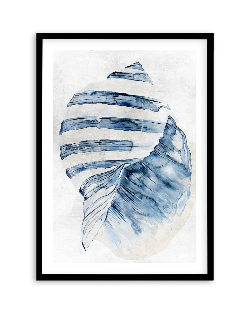 Watercolour Shell II Art Print-PRINT-Olive et Oriel-Olive et Oriel-A5 | 5.8" x 8.3" | 14.8 x 21cm-Black-With White Border-Buy-Australian-Art-Prints-Online-with-Olive-et-Oriel-Your-Artwork-Specialists-Austrailia-Decorate-With-Coastal-Photo-Wall-Art-Prints-From-Our-Beach-House-Artwork-Collection-Fine-Poster-and-Framed-Artwork