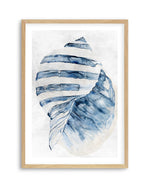 Watercolour Shell II Art Print-PRINT-Olive et Oriel-Olive et Oriel-A5 | 5.8" x 8.3" | 14.8 x 21cm-Oak-With White Border-Buy-Australian-Art-Prints-Online-with-Olive-et-Oriel-Your-Artwork-Specialists-Austrailia-Decorate-With-Coastal-Photo-Wall-Art-Prints-From-Our-Beach-House-Artwork-Collection-Fine-Poster-and-Framed-Artwork
