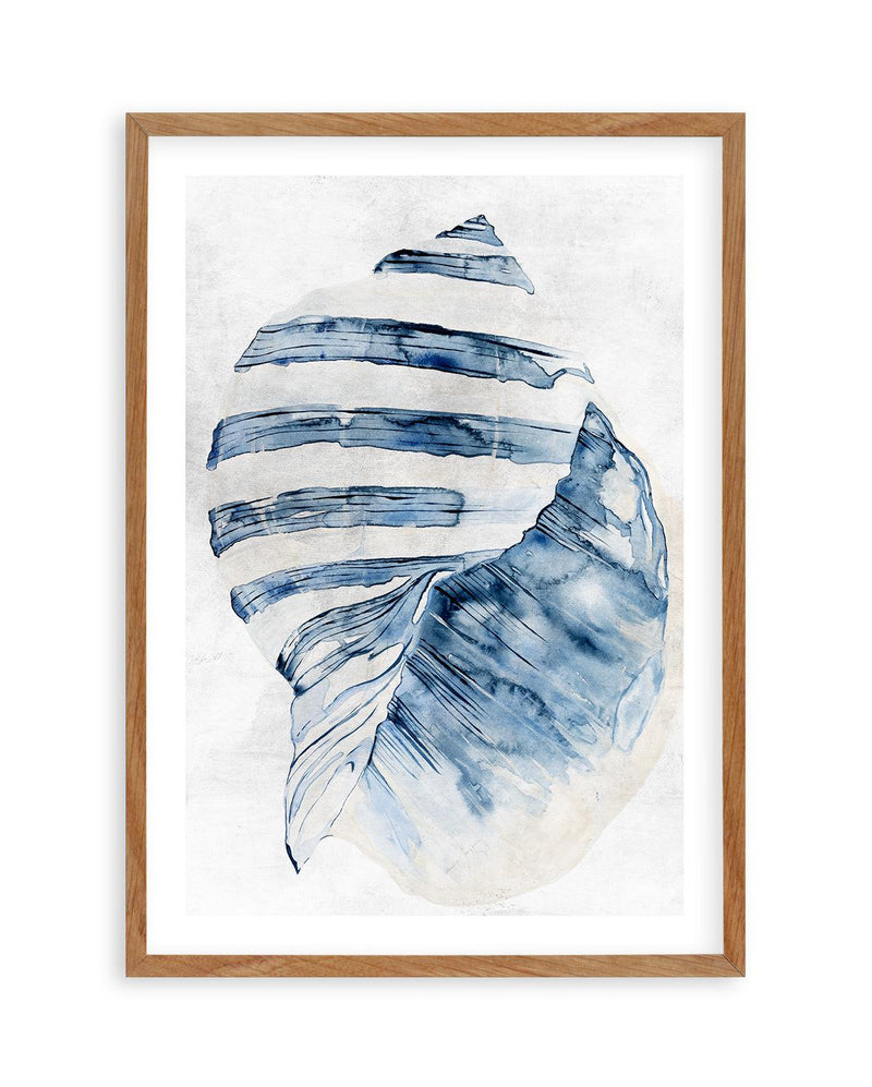 Watercolour Shell II Art Print-PRINT-Olive et Oriel-Olive et Oriel-50x70 cm | 19.6" x 27.5"-Walnut-With White Border-Buy-Australian-Art-Prints-Online-with-Olive-et-Oriel-Your-Artwork-Specialists-Austrailia-Decorate-With-Coastal-Photo-Wall-Art-Prints-From-Our-Beach-House-Artwork-Collection-Fine-Poster-and-Framed-Artwork