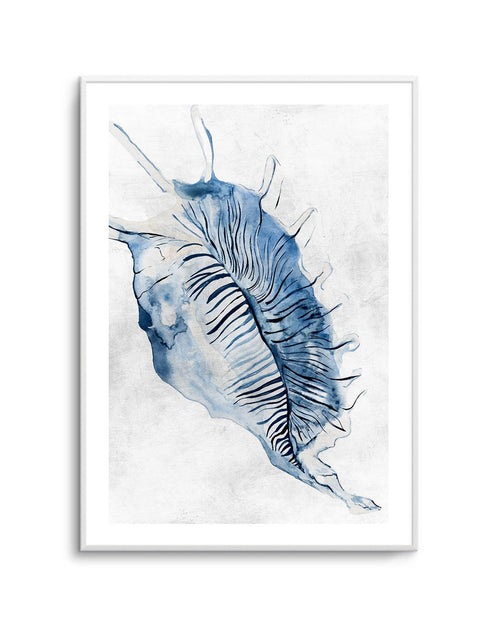 Watercolour Shell III Art Print-PRINT-Olive et Oriel-Olive et Oriel-A5 | 5.8" x 8.3" | 14.8 x 21cm-Unframed Art Print-With White Border-Buy-Australian-Art-Prints-Online-with-Olive-et-Oriel-Your-Artwork-Specialists-Austrailia-Decorate-With-Coastal-Photo-Wall-Art-Prints-From-Our-Beach-House-Artwork-Collection-Fine-Poster-and-Framed-Artwork