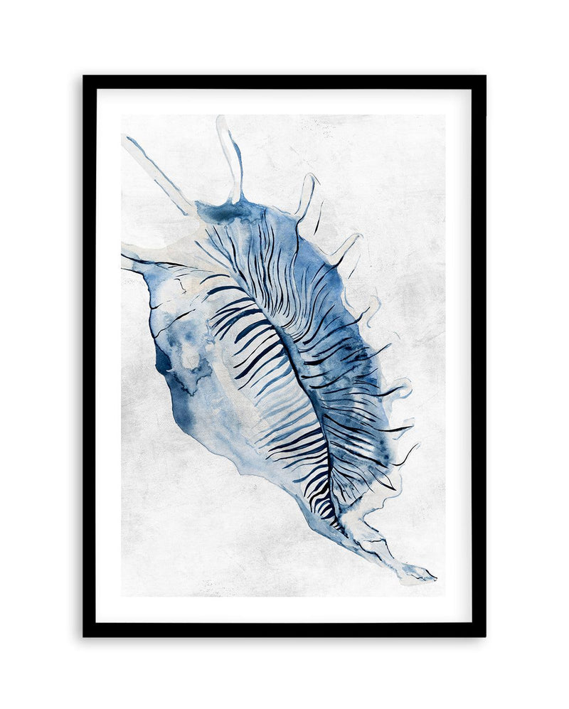 Watercolour Shell III Art Print-PRINT-Olive et Oriel-Olive et Oriel-A5 | 5.8" x 8.3" | 14.8 x 21cm-Black-With White Border-Buy-Australian-Art-Prints-Online-with-Olive-et-Oriel-Your-Artwork-Specialists-Austrailia-Decorate-With-Coastal-Photo-Wall-Art-Prints-From-Our-Beach-House-Artwork-Collection-Fine-Poster-and-Framed-Artwork