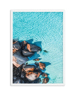 Wests Beach | Esperance Art Print-PRINT-Olive et Oriel-Olive et Oriel-A5 | 5.8" x 8.3" | 14.8 x 21cm-White-With White Border-Buy-Australian-Art-Prints-Online-with-Olive-et-Oriel-Your-Artwork-Specialists-Austrailia-Decorate-With-Coastal-Photo-Wall-Art-Prints-From-Our-Beach-House-Artwork-Collection-Fine-Poster-and-Framed-Artwork