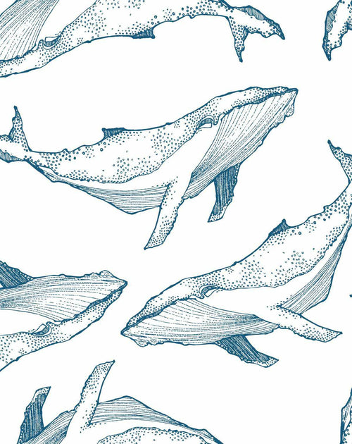 Whale Illustration | Navy on White Wallpaper-Wallpaper-Buy Kids Removable Wallpaper Online Our Custom Made Children√¢‚Ç¨‚Ñ¢s Wallpapers Are A Fun Way To Decorate And Enhance Boys Bedroom Decor And Girls Bedrooms They Are An Amazing Addition To Your Kids Bedroom Walls Our Collection of Kids Wallpaper Is Sure To Transform Your Kids Rooms Interior Style From Pink Wallpaper To Dinosaur Wallpaper Even Marble Wallpapers For Teen Boys Shop Peel And Stick Wallpaper Online Today With Olive et Oriel