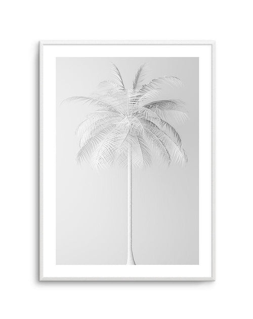 White Palm on Grey Art Print-PRINT-Olive et Oriel-Olive et Oriel-A5 | 5.8" x 8.3" | 14.8 x 21cm-Unframed Art Print-With White Border-Buy-Australian-Art-Prints-Online-with-Olive-et-Oriel-Your-Artwork-Specialists-Austrailia-Decorate-With-Coastal-Photo-Wall-Art-Prints-From-Our-Beach-House-Artwork-Collection-Fine-Poster-and-Framed-Artwork