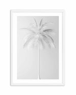 White Palm on Grey Art Print-PRINT-Olive et Oriel-Olive et Oriel-A5 | 5.8" x 8.3" | 14.8 x 21cm-White-With White Border-Buy-Australian-Art-Prints-Online-with-Olive-et-Oriel-Your-Artwork-Specialists-Austrailia-Decorate-With-Coastal-Photo-Wall-Art-Prints-From-Our-Beach-House-Artwork-Collection-Fine-Poster-and-Framed-Artwork