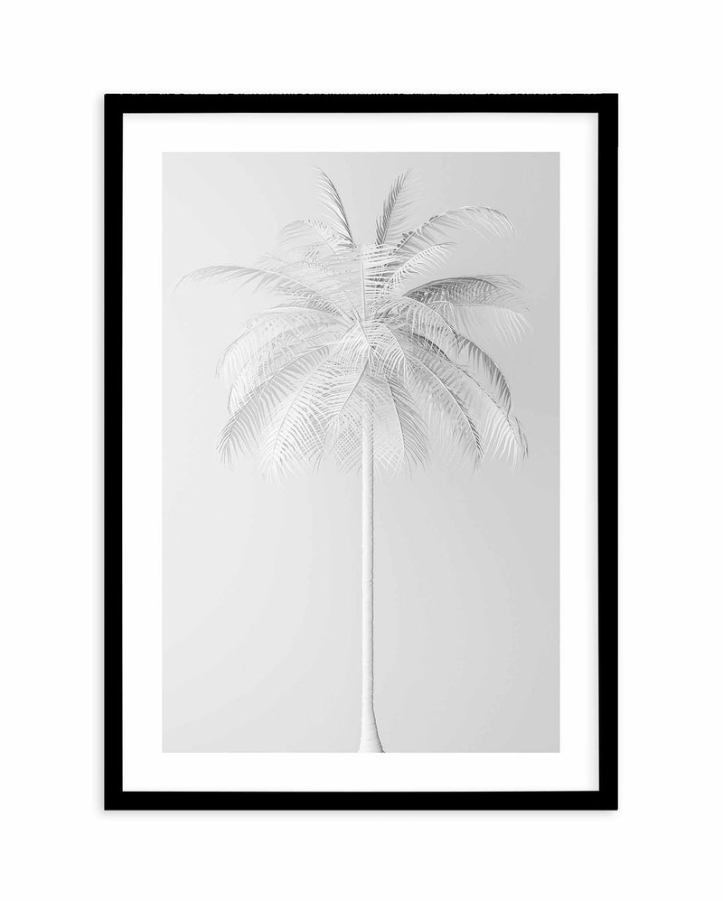 White Palm on Grey Art Print-PRINT-Olive et Oriel-Olive et Oriel-A5 | 5.8" x 8.3" | 14.8 x 21cm-Black-With White Border-Buy-Australian-Art-Prints-Online-with-Olive-et-Oriel-Your-Artwork-Specialists-Austrailia-Decorate-With-Coastal-Photo-Wall-Art-Prints-From-Our-Beach-House-Artwork-Collection-Fine-Poster-and-Framed-Artwork