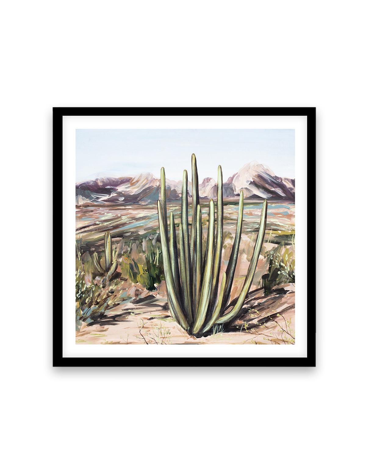 Wild Desert by Meredith O'Neal Art Print