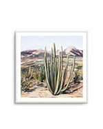 Wild Desert by Meredith O'Neal Art Print