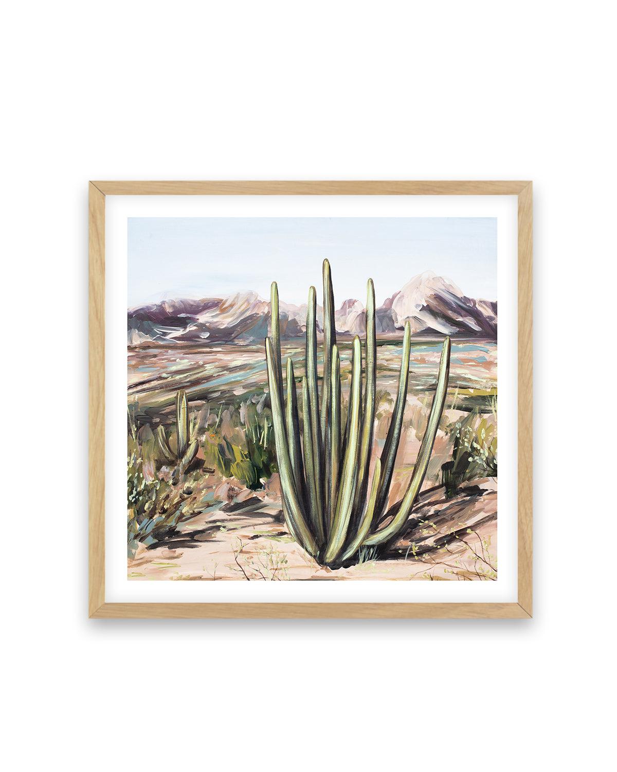 Wild Desert by Meredith O'Neal Art Print