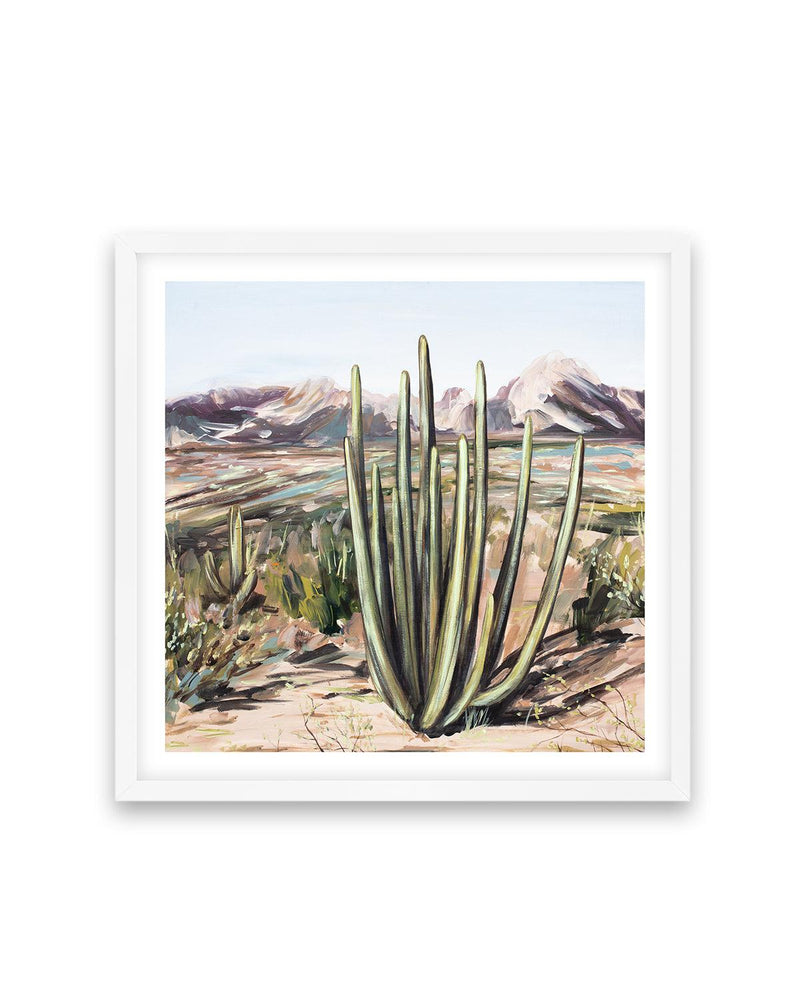 Wild Desert by Meredith O'Neal Art Print